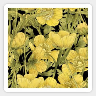 Buttercup on black Sticker